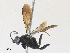  ( - CBG-A30050-G10)  @11 [ ] CreativeCommons - Attribution Share - Alike (2024) CBG Photography Group Centre for Biodiversity Genomics