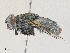  ( - CBG-A30053-B02)  @11 [ ] CreativeCommons - Attribution Share - Alike (2024) CBG Photography Group Centre for Biodiversity Genomics