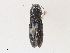  ( - CBG-A30053-G11)  @11 [ ] CreativeCommons - Attribution Share - Alike (2024) CBG Photography Group Centre for Biodiversity Genomics