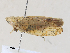  ( - CBG-A30054-D03)  @11 [ ] CreativeCommons - Attribution Share - Alike (2024) CBG Photography Group Centre for Biodiversity Genomics