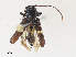  ( - CBG-A30054-G10)  @11 [ ] CreativeCommons - Attribution Share - Alike (2024) CBG Photography Group Centre for Biodiversity Genomics
