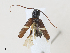  ( - CBG-A30055-A10)  @11 [ ] CreativeCommons - Attribution Share - Alike (2024) CBG Photography Group Centre for Biodiversity Genomics