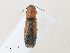  ( - CBG-A30055-C09)  @11 [ ] CreativeCommons - Attribution Share - Alike (2024) CBG Photography Group Centre for Biodiversity Genomics