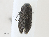  ( - CBG-A30055-E10)  @11 [ ] CreativeCommons - Attribution Share - Alike (2024) CBG Photography Group Centre for Biodiversity Genomics