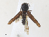  ( - CBG-A30056-C06)  @11 [ ] CreativeCommons - Attribution Share - Alike (2024) CBG Photography Group Centre for Biodiversity Genomics