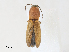  ( - CBG-A30056-F08)  @11 [ ] CreativeCommons - Attribution Share - Alike (2024) CBG Photography Group Centre for Biodiversity Genomics