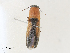  ( - CBG-A30056-F10)  @11 [ ] CreativeCommons - Attribution Share - Alike (2024) CBG Photography Group Centre for Biodiversity Genomics