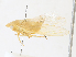  ( - CBG-A30056-G11)  @11 [ ] CreativeCommons - Attribution Share - Alike (2024) CBG Photography Group Centre for Biodiversity Genomics