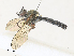 ( - CBG-A30087-G06)  @11 [ ] CreativeCommons - Attribution Share - Alike (2024) CBG Photography Group Centre for Biodiversity Genomics