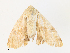  ( - CBG-A30088-H02)  @11 [ ] CreativeCommons - Attribution Share - Alike (2024) CBG Photography Group Centre for Biodiversity Genomics
