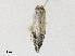 ( - CBG-A30113-B07)  @11 [ ] CreativeCommons - Attribution Share - Alike (2024) CBG Photography Group Centre for Biodiversity Genomics