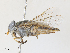  ( - CBG-A30114-A05)  @11 [ ] CreativeCommons - Attribution Share - Alike (2024) CBG Photography Group Centre for Biodiversity Genomics