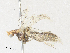  ( - CBG-A30124-C10)  @11 [ ] CreativeCommons - Attribution Share - Alike (2024) CBG Photography Group Centre for Biodiversity Genomics