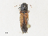  ( - CBG-A30124-C11)  @11 [ ] CreativeCommons - Attribution Share - Alike (2024) CBG Photography Group Centre for Biodiversity Genomics