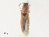  ( - CBG-A30125-D05)  @11 [ ] CreativeCommons - Attribution Share - Alike (2024) CBG Photography Group Centre for Biodiversity Genomics