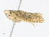  ( - CBG-A30076-F12)  @11 [ ] CreativeCommons - Attribution Share - Alike (2024) CBG Photography Group Centre for Biodiversity Genomics
