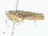  ( - CBG-A30076-G01)  @11 [ ] CreativeCommons - Attribution Share - Alike (2024) CBG Photography Group Centre for Biodiversity Genomics