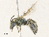  ( - CBG-A30145-H03)  @11 [ ] CreativeCommons - Attribution Share - Alike (2024) CBG Photography Group Centre for Biodiversity Genomics