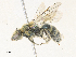  ( - CBG-A30145-H08)  @11 [ ] CreativeCommons - Attribution Share - Alike (2024) CBG Photography Group Centre for Biodiversity Genomics