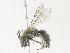  ( - CBG-A30146-F08)  @11 [ ] CreativeCommons - Attribution Share - Alike (2024) CBG Photography Group Centre for Biodiversity Genomics