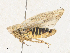  ( - CBG-A30156-D02)  @11 [ ] CreativeCommons - Attribution Share - Alike (2024) CBG Photography Group Centre for Biodiversity Genomics