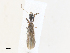 ( - CBG-A30156-E01)  @11 [ ] CreativeCommons - Attribution Share - Alike (2024) CBG Photography Group Centre for Biodiversity Genomics