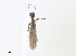  ( - CBG-A30156-E08)  @11 [ ] CreativeCommons - Attribution Share - Alike (2024) CBG Photography Group Centre for Biodiversity Genomics