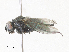  ( - CBG-A30158-H09)  @11 [ ] CreativeCommons - Attribution Share - Alike (2024) CBG Photography Group Centre for Biodiversity Genomics