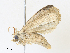  ( - CBG-A30920-A09)  @11 [ ] CreativeCommons - Attribution Share - Alike (2024) CBG Photography Group Centre for Biodiversity Genomics