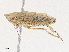  ( - CBG-A30920-F01)  @11 [ ] CreativeCommons - Attribution Share - Alike (2024) CBG Photography Group Centre for Biodiversity Genomics