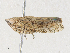  ( - CBG-A30920-F03)  @11 [ ] CreativeCommons - Attribution Share - Alike (2024) CBG Photography Group Centre for Biodiversity Genomics