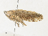  ( - CBG-A30920-F08)  @11 [ ] CreativeCommons - Attribution Share - Alike (2024) CBG Photography Group Centre for Biodiversity Genomics