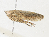  ( - CBG-A30920-F09)  @11 [ ] CreativeCommons - Attribution Share - Alike (2024) CBG Photography Group Centre for Biodiversity Genomics