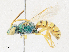  ( - CBG-A30921-B07)  @11 [ ] CreativeCommons - Attribution Share - Alike (2024) CBG Photography Group Centre for Biodiversity Genomics