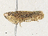  ( - CBG-A30921-D03)  @11 [ ] CreativeCommons - Attribution Share - Alike (2024) CBG Photography Group Centre for Biodiversity Genomics