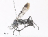  ( - CBG-A30973-G10)  @11 [ ] CreativeCommons - Attribution Share - Alike (2024) CBG Photography Group Centre for Biodiversity Genomics