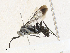  ( - CBG-A30974-A01)  @11 [ ] CreativeCommons - Attribution Share - Alike (2024) CBG Photography Group Centre for Biodiversity Genomics