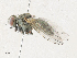  ( - CBG-A30997-B06)  @11 [ ] CreativeCommons - Attribution Share - Alike (2024) CBG Photography Group Centre for Biodiversity Genomics