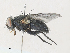  ( - CBG-A30997-E05)  @11 [ ] CreativeCommons - Attribution Share - Alike (2024) CBG Photography Group Centre for Biodiversity Genomics