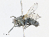  ( - CBG-A30120-G01)  @11 [ ] CreativeCommons - Attribution Share - Alike (2024) CBG Photography Group Centre for Biodiversity Genomics