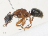  ( - CBG-A30919-G07)  @11 [ ] CreativeCommons - Attribution Share - Alike (2024) CBG Photography Group Centre for Biodiversity Genomics