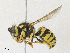  ( - CBG-A30922-C04)  @11 [ ] CreativeCommons - Attribution Share - Alike (2024) CBG Photography Group Centre for Biodiversity Genomics