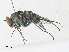 ( - CBG-A30922-G07)  @11 [ ] CreativeCommons - Attribution Share - Alike (2024) CBG Photography Group Centre for Biodiversity Genomics