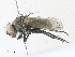  ( - CBG-A30923-G11)  @11 [ ] CreativeCommons - Attribution Share - Alike (2024) CBG Photography Group Centre for Biodiversity Genomics