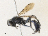  ( - CBG-A31813-H09)  @11 [ ] CreativeCommons - Attribution Share - Alike (2024) CBG Photography Group Centre for Biodiversity Genomics