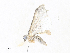  ( - CBG-A34301-E12)  @11 [ ] CreativeCommons - Attribution Share - Alike (2024) CBG Photography Group Centre for Biodiversity Genomics