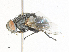  ( - CBG-A34302-H01)  @11 [ ] CreativeCommons - Attribution Share - Alike (2024) CBG Photography Group Centre for Biodiversity Genomics