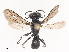  ( - CBG-A34304-H01)  @11 [ ] CreativeCommons - Attribution Share - Alike (2024) CBG Photography Group Centre for Biodiversity Genomics