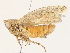  ( - CBG-A38425-D01)  @11 [ ] CreativeCommons - Attribution Share - Alike (2024) CBG Photography Group Centre for Biodiversity Genomics