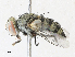  ( - CBG-A38434-A11)  @11 [ ] CreativeCommons - Attribution Share - Alike (2024) CBG Photography Group Centre for Biodiversity Genomics